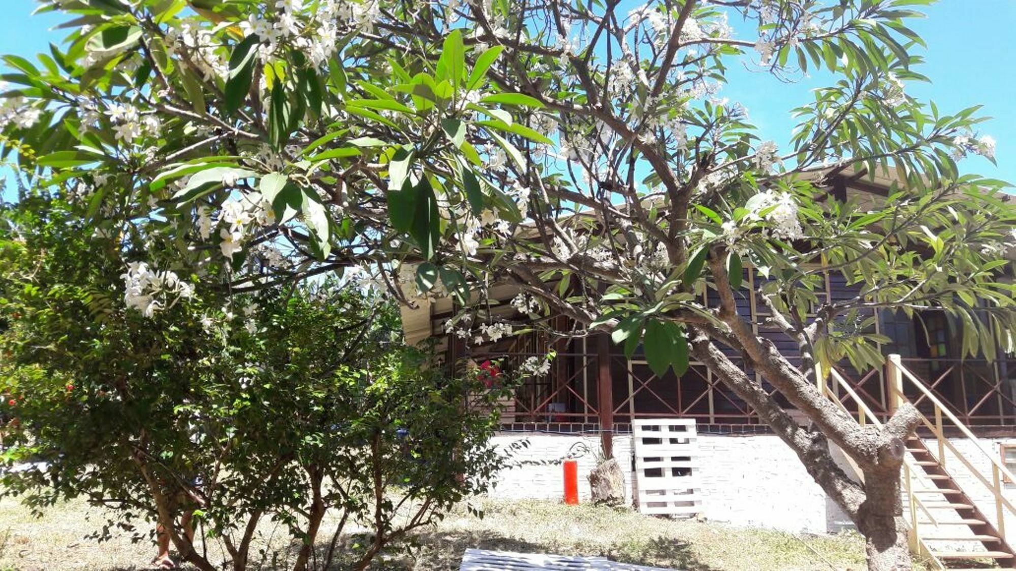 Pousada Boldro Home Fernando de Noronha Extérieur photo